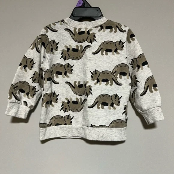 Carter's Size 18 Months Gray Brown Dinosaur Pull Over Long Sleeve Sweatshirt - Picture 5 of 7